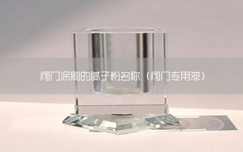 閥門涂刷的膩?zhàn)臃勖Q（閥門專用漆）