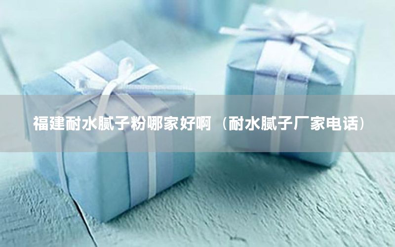 福建耐水膩子粉哪家好?。退佔訌S家電話）
